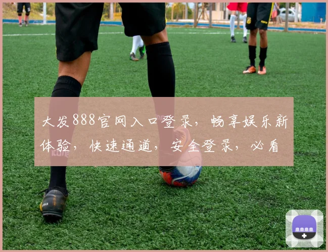 大发888官网入口登录，畅享娱乐新体验，快速通道，安全登录，必看攻略