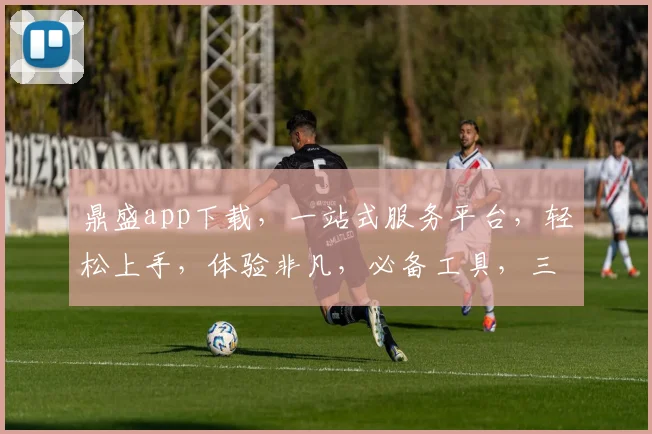 鼎盛app下载，一站式服务平台，轻松上手，体验非凡，必备工具，三步安装