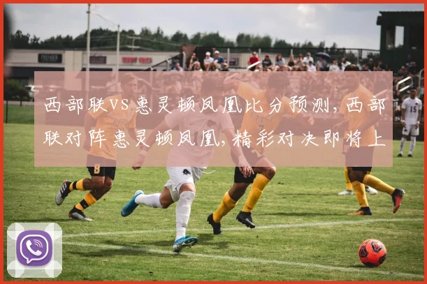 西部联vs惠灵顿凤凰比分预测,西部联对阵惠灵顿凤凰,精彩对决即将上演,悬念重重