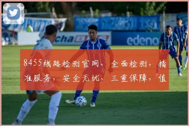 8455线路检测官网，全面检测，精准服务，安全无忧，三重保障，值得信赖